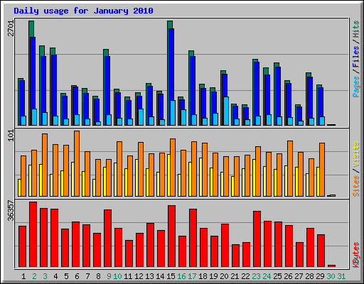 Daily usage for January 2010