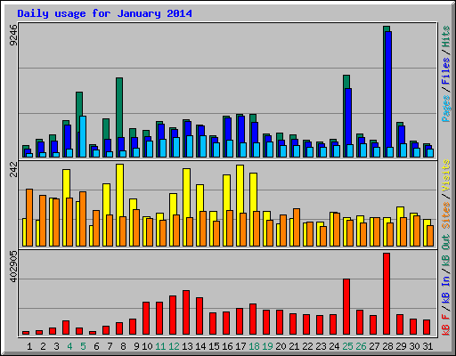 Daily usage for January 2014