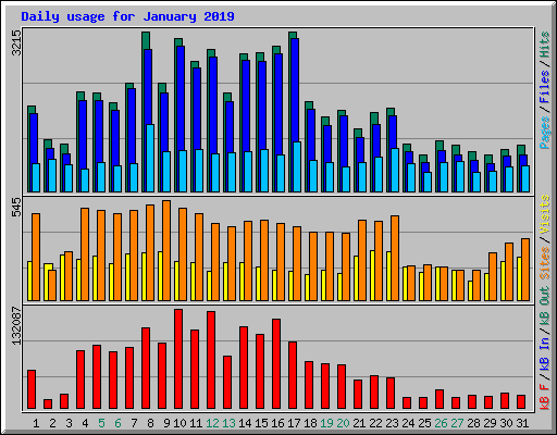 Daily usage for January 2019