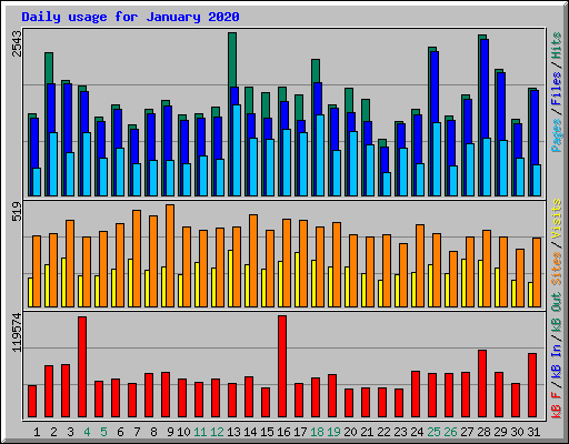 Daily usage for January 2020