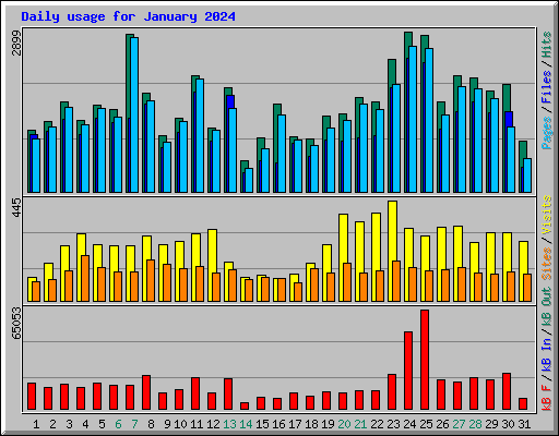 Daily usage for January 2024