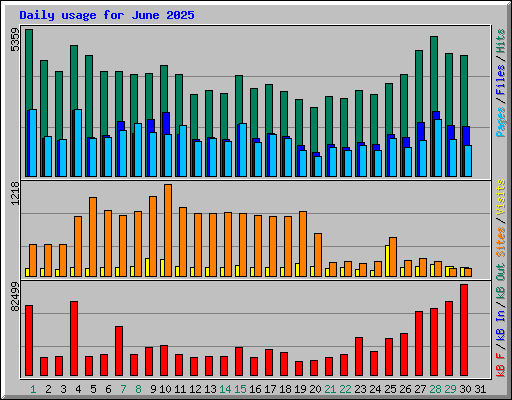 Daily usage for June 2025