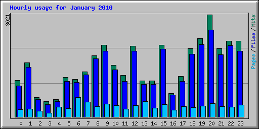 Hourly usage for January 2010