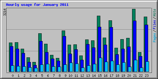 Hourly usage for January 2011