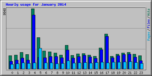 Hourly usage for January 2014