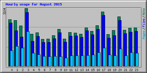 Hourly usage for August 2015