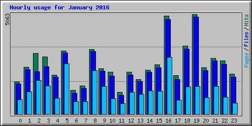 Hourly usage for January 2016