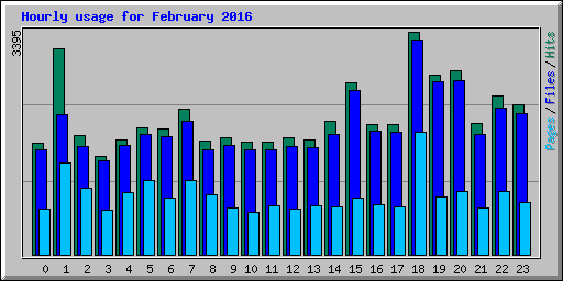 Hourly usage for February 2016