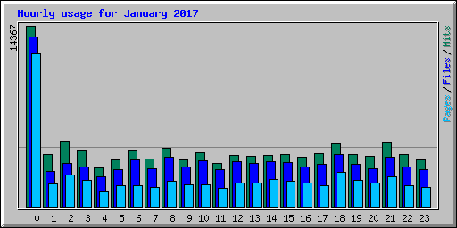 Hourly usage for January 2017