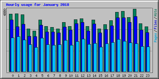 Hourly usage for January 2018