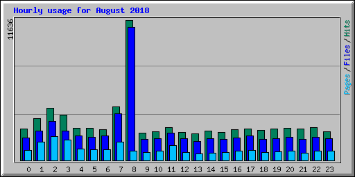 Hourly usage for August 2018