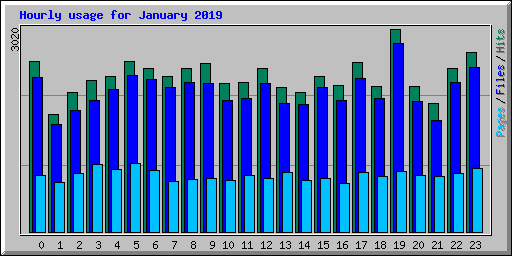 Hourly usage for January 2019