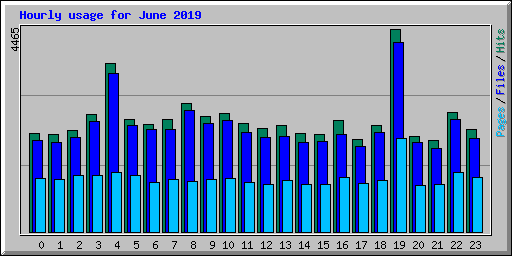 Hourly usage for June 2019