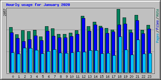 Hourly usage for January 2020