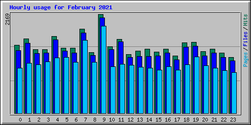 Hourly usage for February 2021