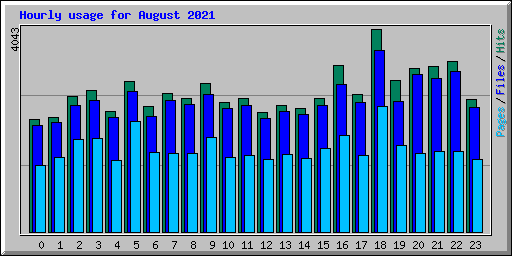 Hourly usage for August 2021