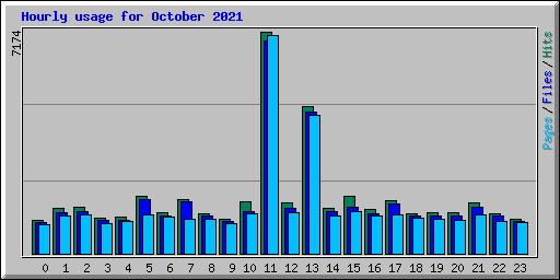 Hourly usage for October 2021