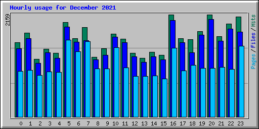 Hourly usage for December 2021