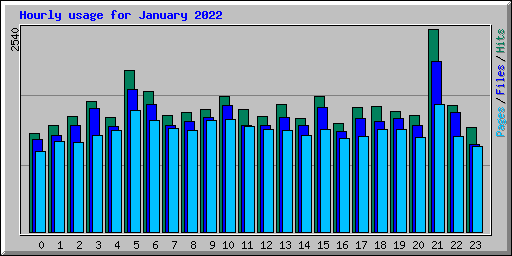 Hourly usage for January 2022