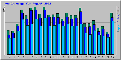 Hourly usage for August 2022