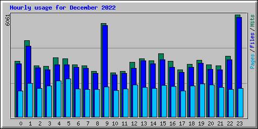 Hourly usage for December 2022
