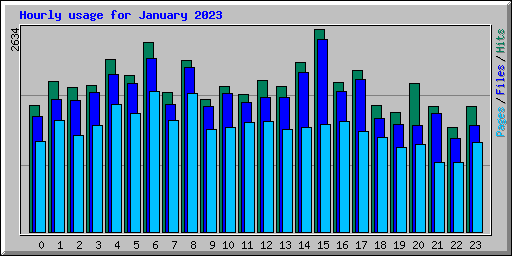 Hourly usage for January 2023