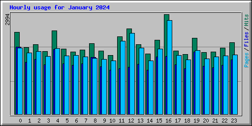 Hourly usage for January 2024