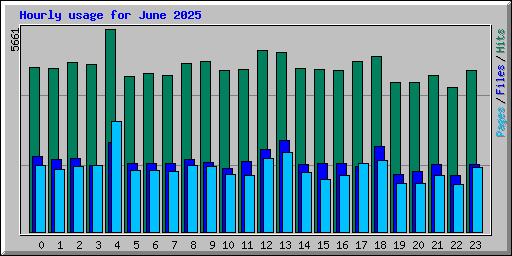 Hourly usage for June 2025