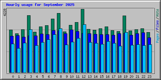Hourly usage for September 2025