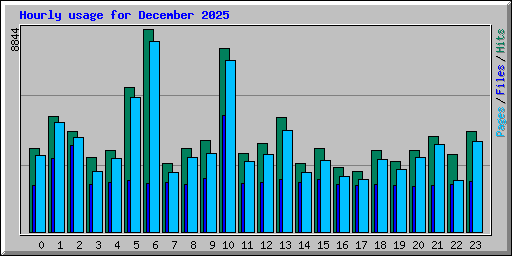 Hourly usage for December 2025