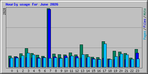 Hourly usage for June 2026